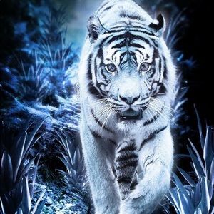 Meet your Posher, Hailey